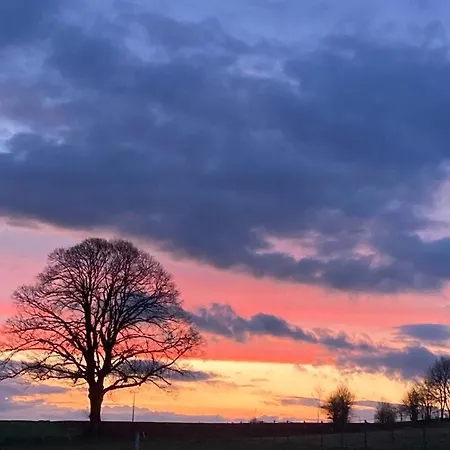 펜션 Glashaus Sternblick, Schlafen Unterm Sternenhimmel *