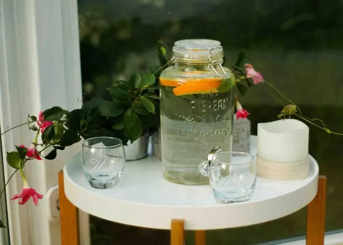 Glashaus Sternblick, Schlafen Unterm Sternenhimmel * Neustadt am Kulm